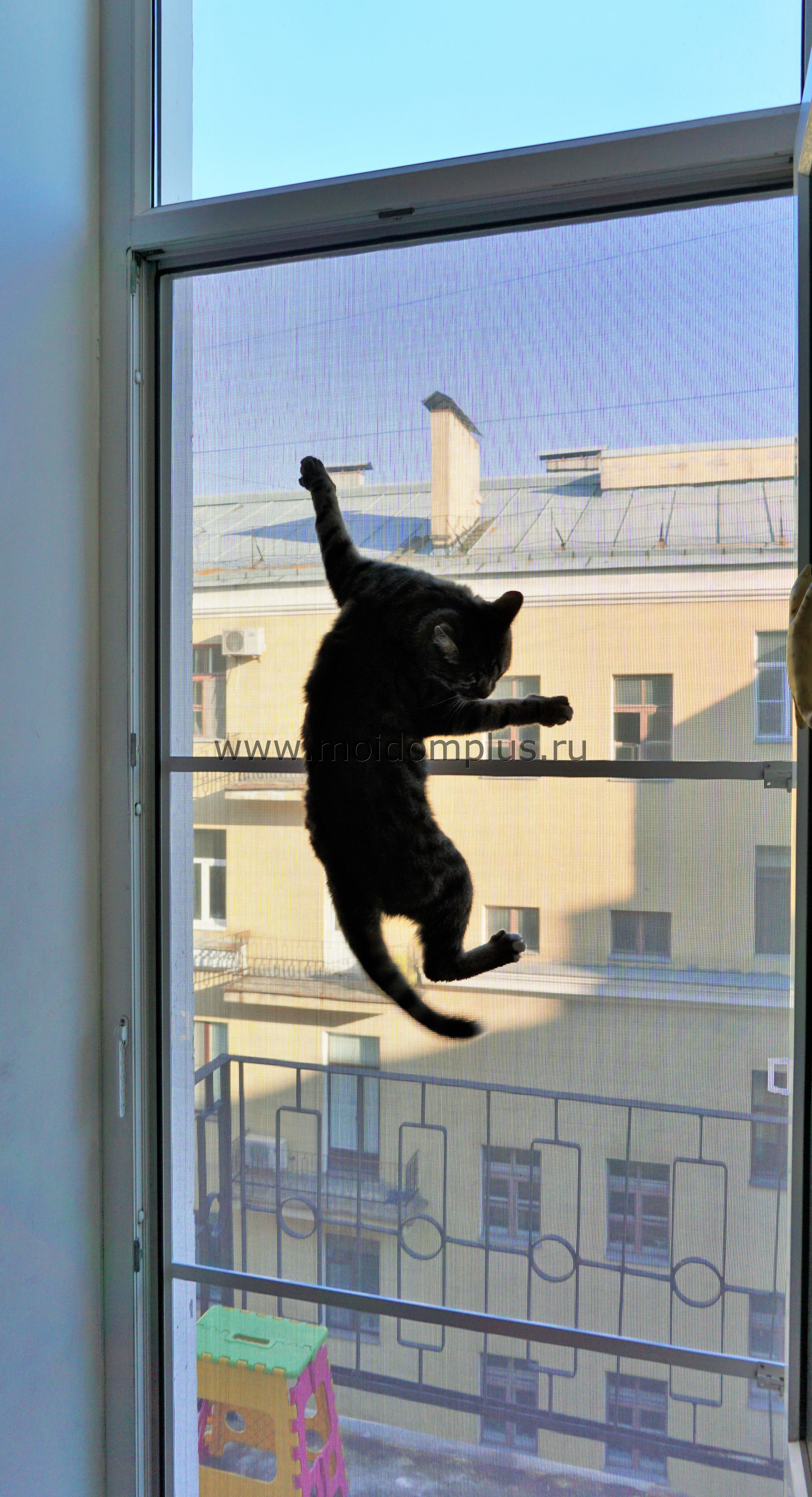 Купить сетку на окна для кошек. МС антикошка. Kaleva антикошка. Что такое Москит антикошка. Решетка антикошка.